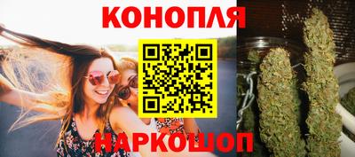 стафф Камышлов