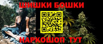 стафф Камышлов