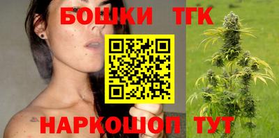стафф Камышлов