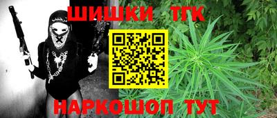 стафф Камышлов