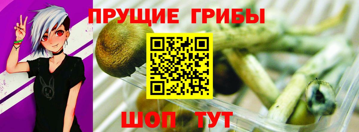 Галлюциногенные грибы прущие грибы Заволжье